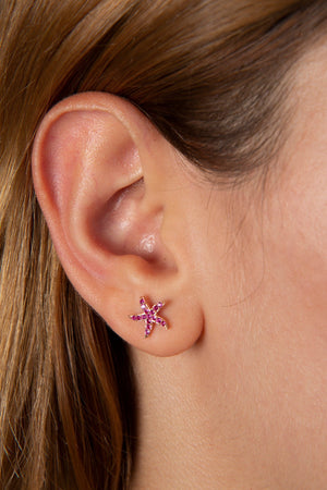 Women's 925 Sterling Silver Star Earrings