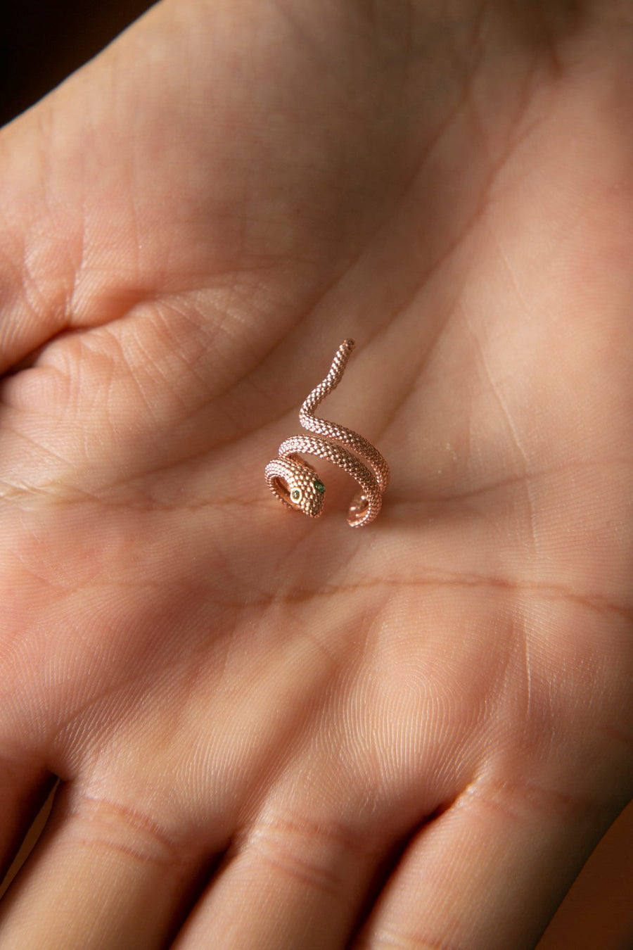 Women's 925 Sterling Silver Snake Design Cartilage Earring